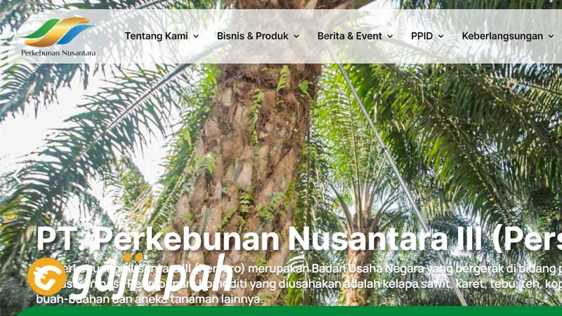 Gaji Karyawan PT Perkebunan Nusantara III (Persero) Semua Jabatan Terbaru