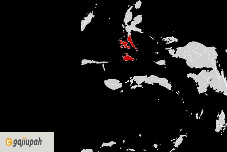 Gaji UMK Halmahera Selatan