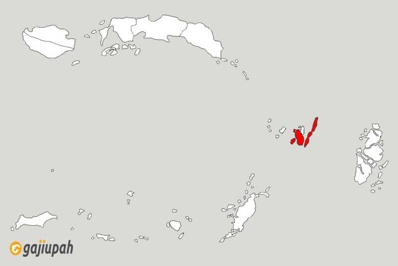 Gaji UMK Maluku Tenggara